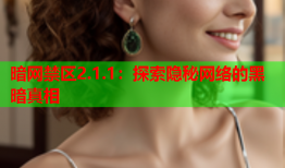 暗网禁区2.1.1:探索隐秘网络的黑暗真相