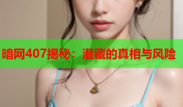 暗网407揭秘:潜藏的真相与风险