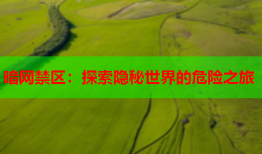 暗网禁区:探索隐秘世界的危险之旅