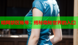 暗网禁区账号:揭秘隐秘世界的入口