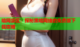 暗网禁区:探秘黑暗网络的免费版下载攻略