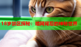 18岁禁区探秘:暗网背后的神秘世界
