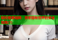 轻松登录暗网:探索隐秘世界的安全指南(1)