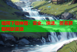 暗网下载神器:安全、快速、匿名获取稀缺资源