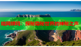 暗网蝉鸣:探秘隐秘世界的神秘之声