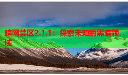 暗网禁区2.1.1:探索未知的黑暗领域