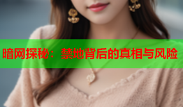 暗网探秘:禁地背后的真相与风险