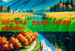 暗网交易平台:安全匿名,轻松获取稀缺资源(1)