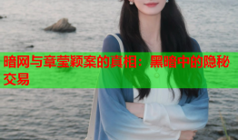 暗网与章莹颖案的真相:黑暗中的隐秘交易