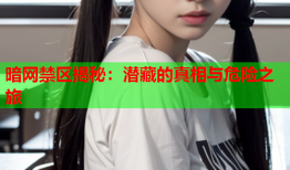 暗网禁区揭秘:潜藏的真相与危险之旅