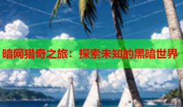 暗网猎奇之旅:探索未知的黑暗世界