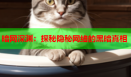 暗网深渊:探秘隐秘网络的黑暗真相