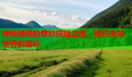 神秘暗网的奇妙探险之旅,揭开未知世界的面纱