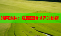 暗网迷踪:窥探黑暗世界的秘密