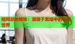 暗网禁地揭秘:潜藏于黑暗中的秘密世界
