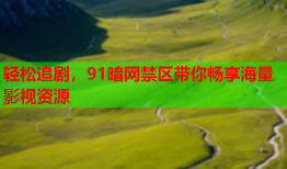 轻松追剧,91暗网禁区带你畅享海量影视资源