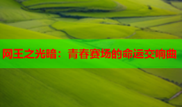 网王之光暗:青春赛场的命运交响曲