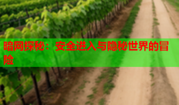 暗网探秘:安全进入与隐秘世界的冒险