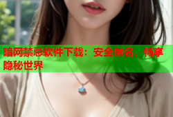 暗网禁忌软件下载:安全匿名,畅享隐秘世界