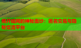 揭开暗网的神秘面纱:匿名交易与隐秘交流平台