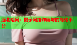 缅北暗网:揭示网络诈骗与的隐秘平台