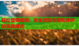 轻松登录暗网:安全浏览与隐私保护的完美结合