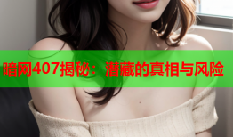暗网407揭秘:潜藏的真相与风险