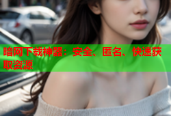 暗网下载神器:安全、匿名、快速获取资源