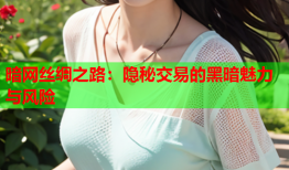 暗网丝绸之路:隐秘交易的黑暗魅力与风险