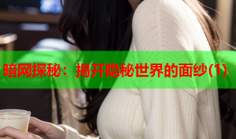 暗网探秘:揭开隐秘世界的面纱(1)