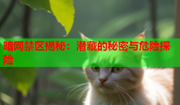 暗网禁区揭秘:潜藏的秘密与危险探险