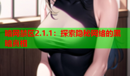 暗网禁区2.1.1:探索隐秘网络的黑暗真相