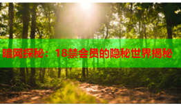 暗网探秘:18禁会员的隐秘世界揭秘