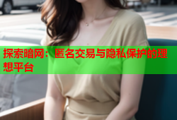 探索暗网:匿名交易与隐私保护的理想平台