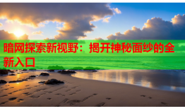 暗网探索新视野:揭开神秘面纱的全新入口