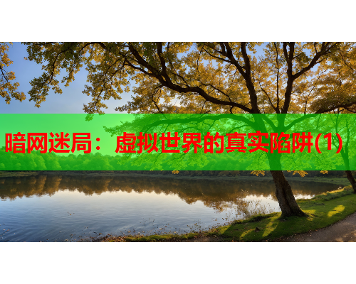 暗网迷局:虚拟世界的真实陷阱(1) 暗网迷局:虚拟世界的真实陷阱(1)