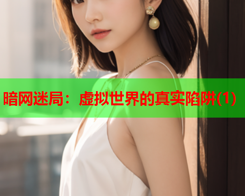 暗网迷局:虚拟世界的真实陷阱(1) 暗网迷局:虚拟世界的真实陷阱(1)
