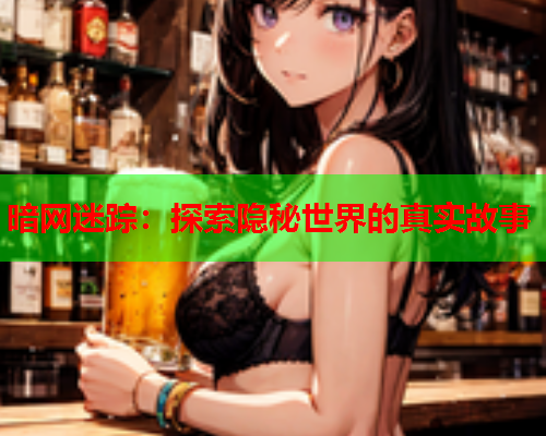 暗网迷踪:探索隐秘世界的真实故事 暗网迷踪:探索隐秘世界的真实故事