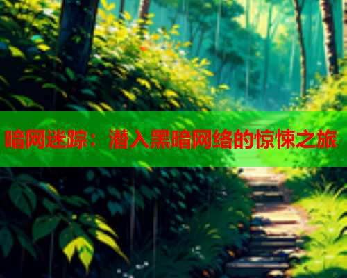 暗网迷踪:潜入黑暗网络的惊悚之旅 暗网迷踪:潜入黑暗网络的惊悚之旅