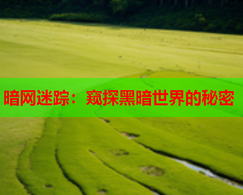 暗网迷踪:窥探黑暗世界的秘密 暗网迷踪:窥探黑暗世界的秘密