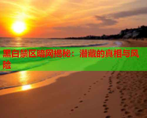 黑白禁区暗网揭秘:潜藏的真相与风险 黑白禁区暗网揭秘:潜藏的真相与风险