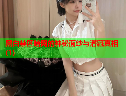 黑白禁区暗网的神秘面纱与潜藏真相(1) 黑白禁区暗网的神秘面纱与潜藏真相(1)