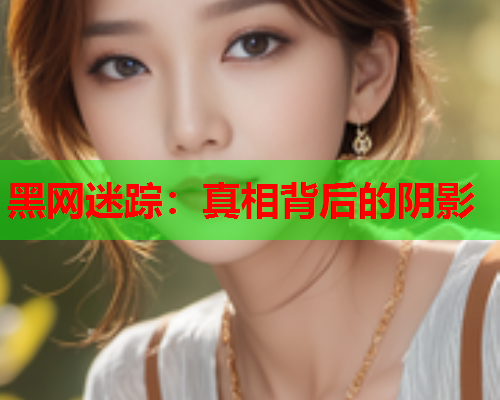 黑网迷踪:真相背后的阴影 黑网迷踪:真相背后的阴影