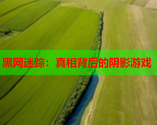 黑网迷踪:真相背后的阴影游戏 黑网迷踪:真相背后的阴影游戏
