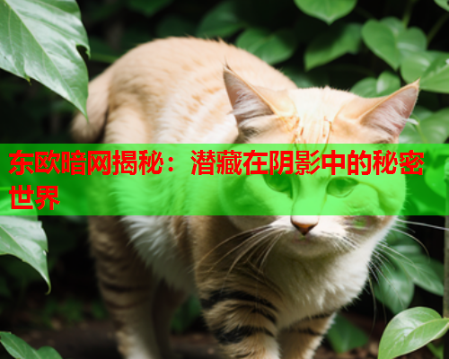 东欧暗网揭秘:潜藏在阴影中的秘密世界 东欧暗网揭秘:潜藏在阴影中的秘密世界