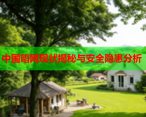 中国暗网现状揭秘与安全隐患分析 中国暗网现状揭秘与安全隐患分析