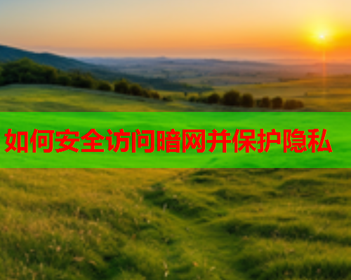 如何安全访问暗网并保护隐私 如何安全访问暗网并保护隐私
