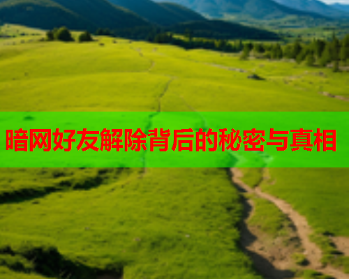 暗网好友解除背后的秘密与真相 暗网好友解除背后的秘密与真相