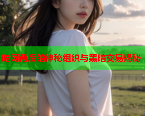 暗网背后的神秘组织与黑暗交易揭秘 暗网背后的神秘组织与黑暗交易揭秘