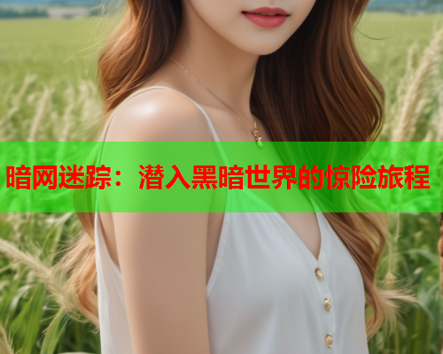 暗网迷踪:潜入黑暗世界的惊险旅程 暗网迷踪:潜入黑暗世界的惊险旅程